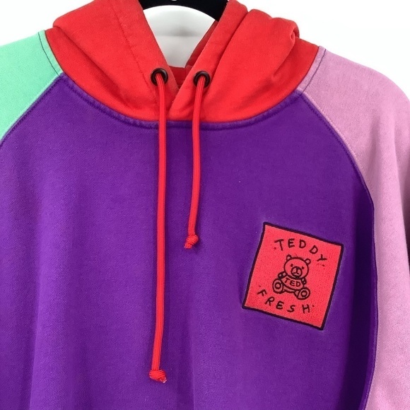 Teddy Fresh Colorblock Hoodie Medium - Picture 3 of 10